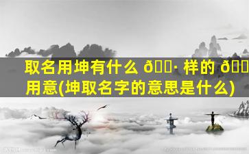 取名用坤有什么 🌷 样的 🐝 用意(坤取名字的意思是什么)